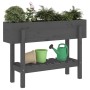 Raised garden bed solid gray pine wood 101x30x69 cm by vidaXL, Pots and planters - Ref: Foro24-825242, Price: 74,80 €, Discou...