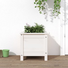 Jardinera madera maciza de pino blanco 40x40x39 cm de vidaXL, Maceteros y jardineras - Ref: Foro24-825248, Precio: 42,99 €, D...