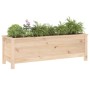 Raised garden bed solid pine wood 119.5x40x39 cm by vidaXL, Pots and planters - Ref: Foro24-825261, Price: 82,00 €, Discount: %