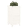 Jardinera madera maciza de pino blanco 40x40x78 cm de vidaXL, Maceteros y jardineras - Ref: Foro24-825276, Precio: 77,99 €, D...