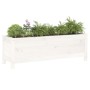 Elevated garden bed made of white pine wood 119.5x40x39 cm by vidaXL, Pots and planters - Ref: Foro24-825262, Price: 98,41 €,...