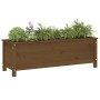 Raised garden bed honey brown pine wood 119.5x40x39cm by vidaXL, Pots and planters - Ref: Foro24-825264, Price: 98,05 €, Disc...