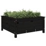 Solid black pine wood planter 82.5x82.5x39 cm by vidaXL, Pots and planters - Ref: Foro24-825300, Price: 104,99 €, Discount: %