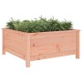 Solid Douglas fir wood planter 82.5x82.5x39 cm by vidaXL, Pots and planters - Ref: Foro24-825301, Price: 92,17 €, Discount: %