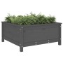 Solid gray pine wood planter 82.5x82.5x39 cm by vidaXL, Pots and planters - Ref: Foro24-825298, Price: 105,08 €, Discount: %