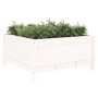 Solid pine wood planter 82.5x82.5x39 cm by vidaXL, Pots and planters - Ref: Foro24-825297, Price: 104,99 €, Discount: %