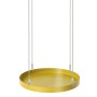 Esschert Design Gold Round Hanging Plant Tray L by Esschert Design, Decorative trays - Ref: Foro24-441016, Price: 21,65 €, Di...