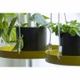 Esschert Design Gold Round Hanging Plant Tray L by Esschert Design, Decorative trays - Ref: Foro24-441016, Price: 21,65 €, Di...