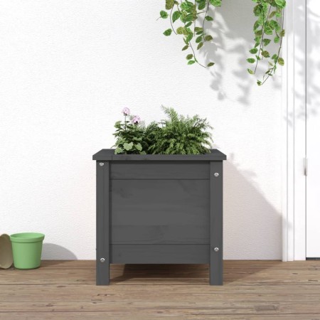 Solid gray pine wood planter 40x40x39 cm by vidaXL, Pots and planters - Ref: Foro24-825249, Price: 53,81 €, Discount: %