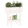 Jardinera madera maciza de pino blanco 62x30x69 cm de vidaXL, Maceteros y jardineras - Ref: Foro24-825234, Precio: 40,63 €, D...