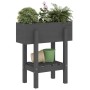 Solid gray pine wood planter 62x30x69 cm by vidaXL, Pots and planters - Ref: Foro24-825235, Price: 41,99 €, Discount: %