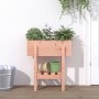 Solid Douglas fir wood planter 62x30x69 cm by vidaXL, Pots and planters - Ref: Foro24-825238, Price: 50,53 €, Discount: %