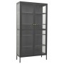 Anthracite gray steel and tempered glass display case 90x40x180 cm by vidaXL, Lockers and storage cabinets - Ref: Foro24-3360...