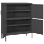 Anthracite gray steel storage cabinet 80x35x101.5 cm by vidaXL, Lockers and storage cabinets - Ref: Foro24-336141, Price: 190...