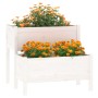 Solid pine wood planter 84.5x84x75 cm by vidaXL, Pots and planters - Ref: Foro24-822258, Price: 95,09 €, Discount: %