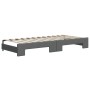 Sofá cama nido con cajones tela gris oscuro 100x200 cm de vidaXL, Camas y somieres - Ref: Foro24-3197248, Precio: 493,32 €, D...