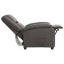 Sillón reclinable de cuero auténtico gris de vidaXL, Sillones - Ref: Foro24-337050, Precio: 356,99 €, Descuento: %