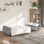 2 seater light gray velvet sofa bed by vidaXL, Sofas - Ref: Foro24-337650, Price: 235,16 €, Discount: %