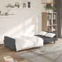 Sofá cama de 2 plazas terciopelo gris oscuro de vidaXL, Sofás - Ref: Foro24-337651, Precio: 210,99 €, Descuento: %