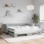 Trundle sofa bed with light gray velvet mattress 100x200 cm by vidaXL, Beds and slatted bases - Ref: Foro24-3197802, Price: 4...