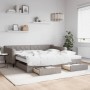 Trundle sofa bed with drawers taupe gray fabric 100x200 cm by vidaXL, Beds and slatted bases - Ref: Foro24-3197488, Price: 49...