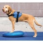 FitPAWS Pet Balance Disc Blue 36 cm by FitPAWS, Pet Exercise Equipment - Ref: Foro24-433818, Price: 49,31 €, Discount: %