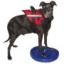 FitPAWS Disco de equilibrio para mascotas azul 36 cm de FitPAWS, Equipos para el ejercicio de mascotas - Ref: Foro24-433818, ...