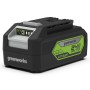 Greenworks Batería 24 V 4 Ah de Greenworks, Pilas y baterías - Ref: Foro24-438305, Precio: 118,20 €, Descuento: %