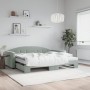 Trundle sofa bed with light gray velvet mattress 90x190 cm by vidaXL, Beds and slatted bases - Ref: Foro24-3197338, Price: 52...