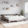 Trundle sofa bed with taupe gray fabric mattress 100x200 cm by vidaXL, Beds and slatted bases - Ref: Foro24-3197452, Price: 4...