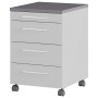 Germania GW-Profi 2.0 Drawer Wheels 42x49x61 cm Light Gray and Graphite by Germania, Lockers and storage cabinets - Ref: Foro...