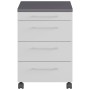 Germania GW-Profi 2.0 Drawer Wheels 42x49x61 cm Light Gray and Graphite by Germania, Lockers and storage cabinets - Ref: Foro...