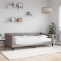 Sofa bed with taupe gray fabric mattress 100x200 cm by vidaXL, Beds and slatted bases - Ref: Foro24-3197416, Price: 378,95 €,...