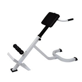 Lower back exercise bank by vidaXL, Weight lifting machines - Ref: Foro24-90361, Price: 103,78 €, Discount: %