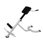 Lower back exercise bank by vidaXL, Weight lifting machines - Ref: Foro24-90361, Price: 113,24 €, Discount: %