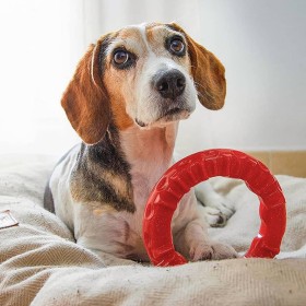 Ferplast Zahnspielzeug für Hunde Smile groß rot 20x18x4 cm von Ferplast, Hundespielzeug - Ref: Foro24-442647, Preis: 29,99 €,...