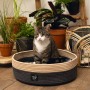 Beeztees Minus One Xana cat bed 45x14 cm gray and brown by Beeztees, Cat beds - Ref: Foro24-444516, Price: 37,73 €, Discount: %