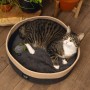 Beeztees Minus One Xana cat bed 45x14 cm gray and brown by Beeztees, Cat beds - Ref: Foro24-444516, Price: 37,73 €, Discount: %