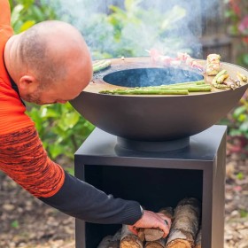 RedFire Chimenea de jardín con barbacoa y cubierta ONYX Classic 60 cm de RedFire, Chimeneas - Ref: Foro24-446955, Precio: 319...