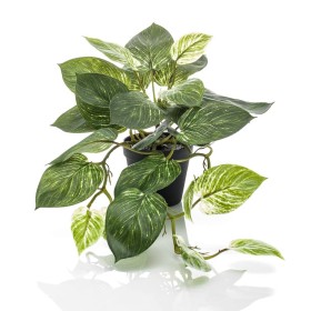 Emerald Arbusto artificial de Scindapsus en maceta 55 cm de Emerald, Flora artificial - Ref: Foro24-444637, Precio: 37,47 €, ...