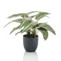 Emerald Calathea artificial Zebrina in pot 38 cm by Emerald, artificial flora - Ref: Foro24-444640, Price: 41,04 €, Discount: %