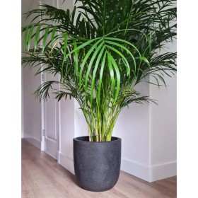 Capi Macetero Waste Smooth gray 43x41 cm by Capi, Pots and planters - Ref: Foro24-442104, Price: 86,49 €, Discount: %