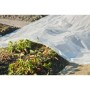 Nature Transparent plant cover 3x4 m 100µ by Nature, Gardening accessories - Ref: Foro24-446378, Price: 21,54 €, Discount: %