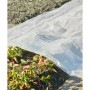 Nature Transparent plant cover 3x4 m 100µ by Nature, Gardening accessories - Ref: Foro24-446378, Price: 21,54 €, Discount: %