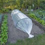 Nature Transparent plant cover 3x4 m 100µ by Nature, Gardening accessories - Ref: Foro24-446378, Price: 21,54 €, Discount: %