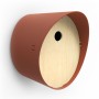 Capi Birdhouse Oval 1 brown 24x19x23 cm by Capi, Birdhouses - Ref: Foro24-445513, Price: 31,67 €, Discount: %