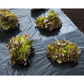 Nature Black groundsheet 4x6 m 100µ by Nature, Gardening accessories - Ref: Foro24-446375, Price: 35,99 €, Discount: %