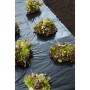 Nature Black groundsheet 4x6 m 100µ by Nature, Gardening accessories - Ref: Foro24-446375, Price: 35,13 €, Discount: %