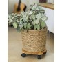 Nature Plant stand with wheels round BPC brown Ø30 cm by Nature, Pot stands - Ref: Foro24-446403, Price: 29,15 €, Discount: %