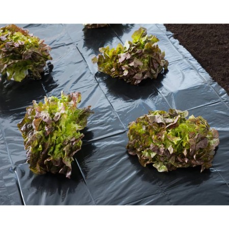 Nature Black groundsheet 4x6 m 150µ by Nature, Gardening accessories - Ref: Foro24-446377, Price: 46,04 €, Discount: %